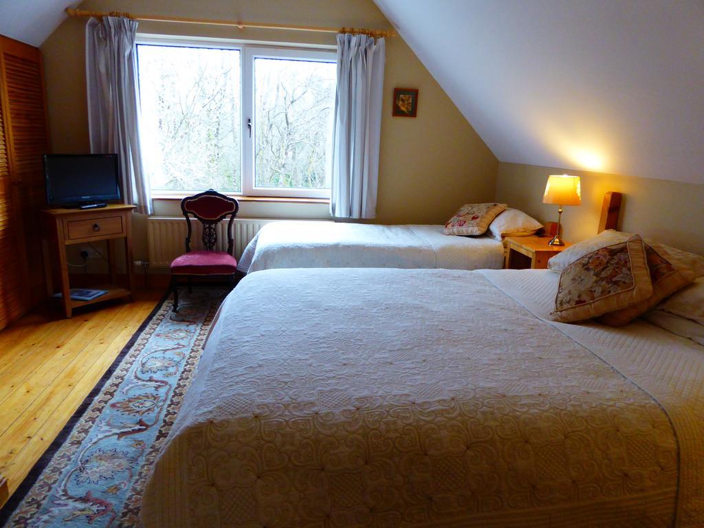 Camillaun Lodge With Lough Corrib Boat Hire Оугтерард Екстериор снимка