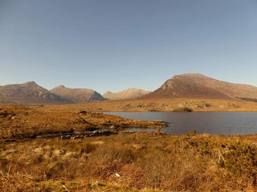 Camillaun Lodge With Lough Corrib Boat Hire Оугтерард Екстериор снимка