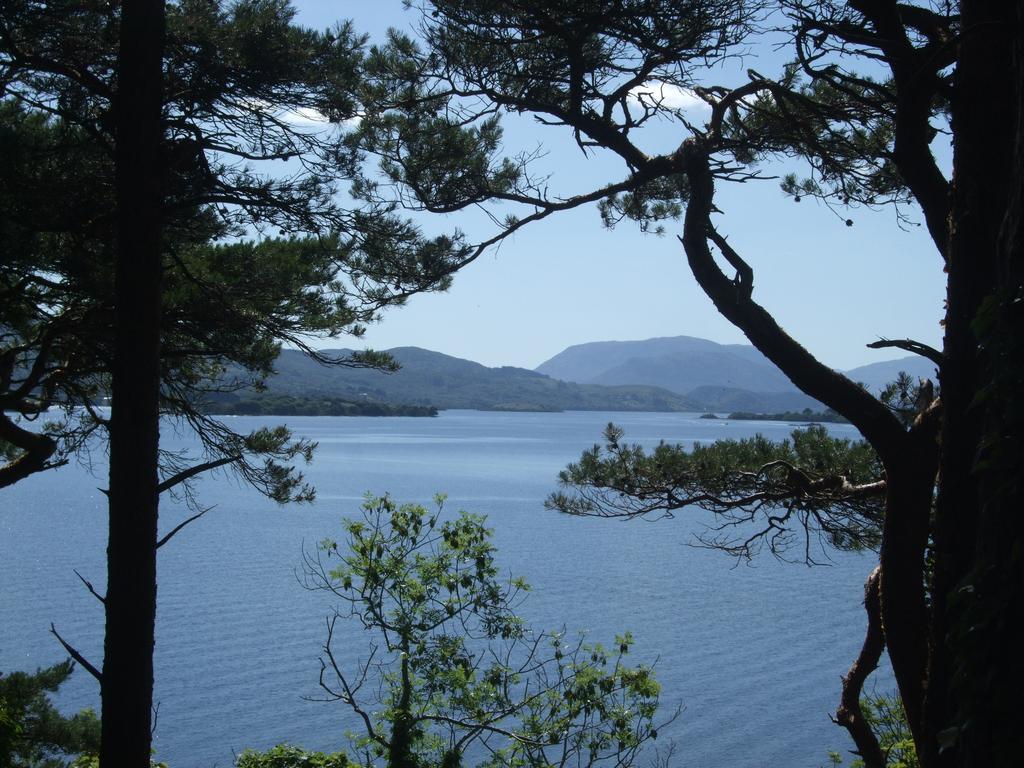Camillaun Lodge With Lough Corrib Boat Hire Оугтерард Екстериор снимка