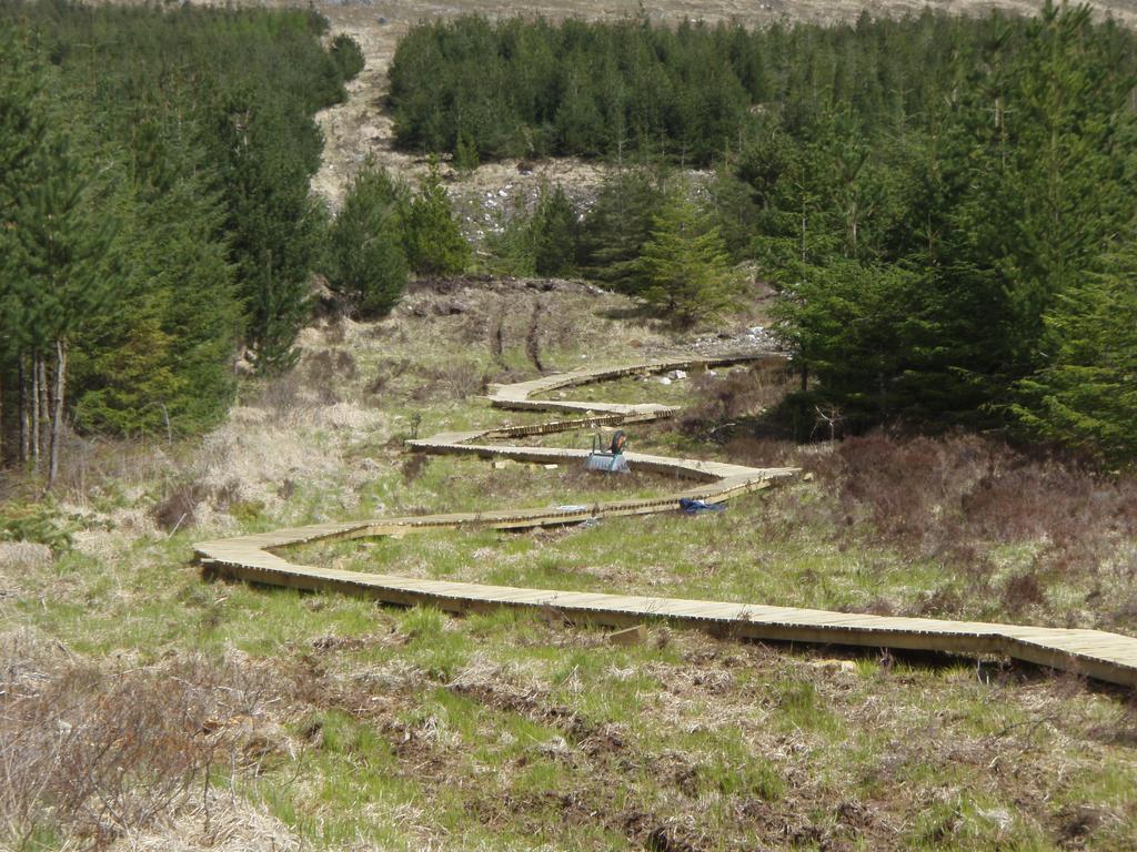 Camillaun Lodge With Lough Corrib Boat Hire Оугтерард Екстериор снимка